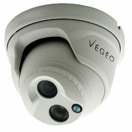Caméra de vidéo surveillance Végéo